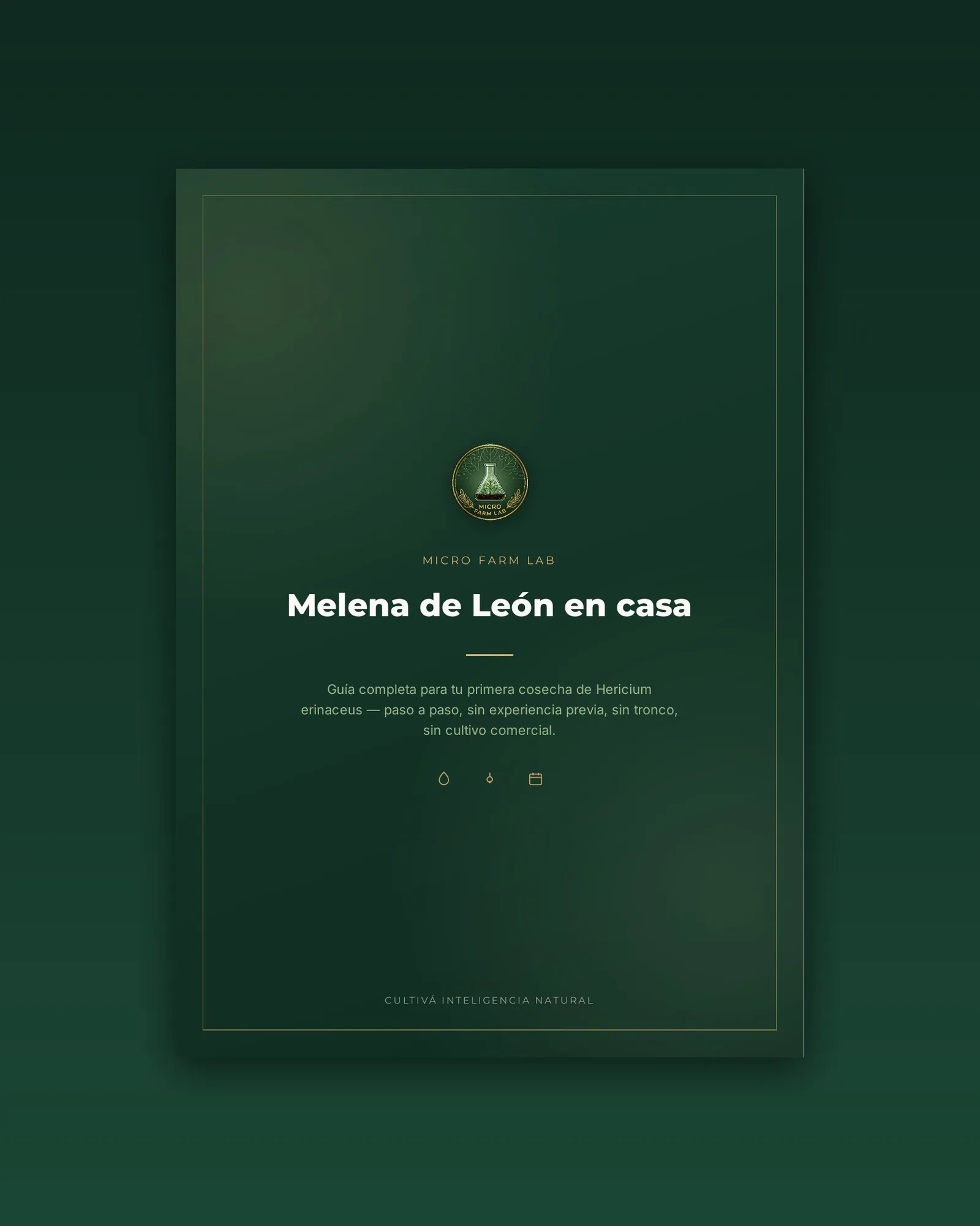 Guía para principiantes